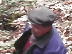 Série bois - forêt sauvage